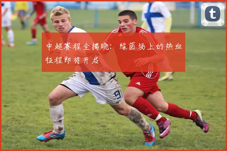 中超赛程全揭晓:绿茵场上的热血征程即将开启